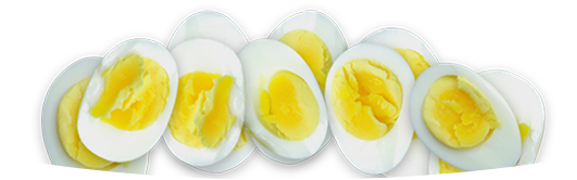 eggs